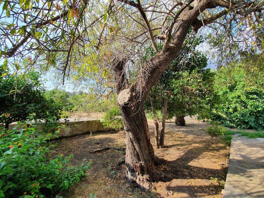 Stromboli Vacanze Zewnętrze zdjęcie